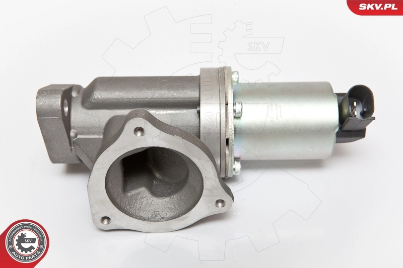 EGR Valve